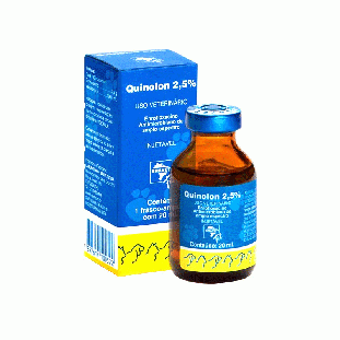 Quinolon (Enrofloxacino) 2,5% Injetável 20ml 
